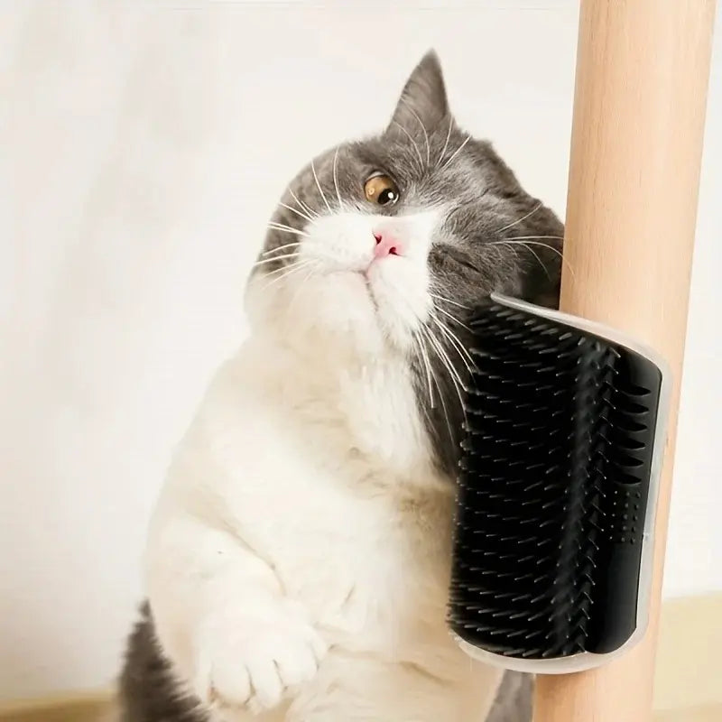 Brosse murale chat