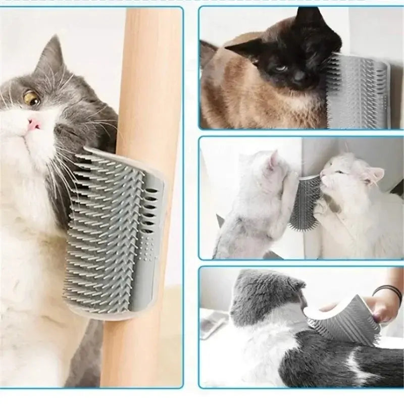 Brosse murale chat