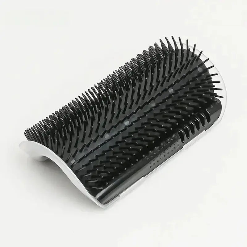 Brosse murale chat