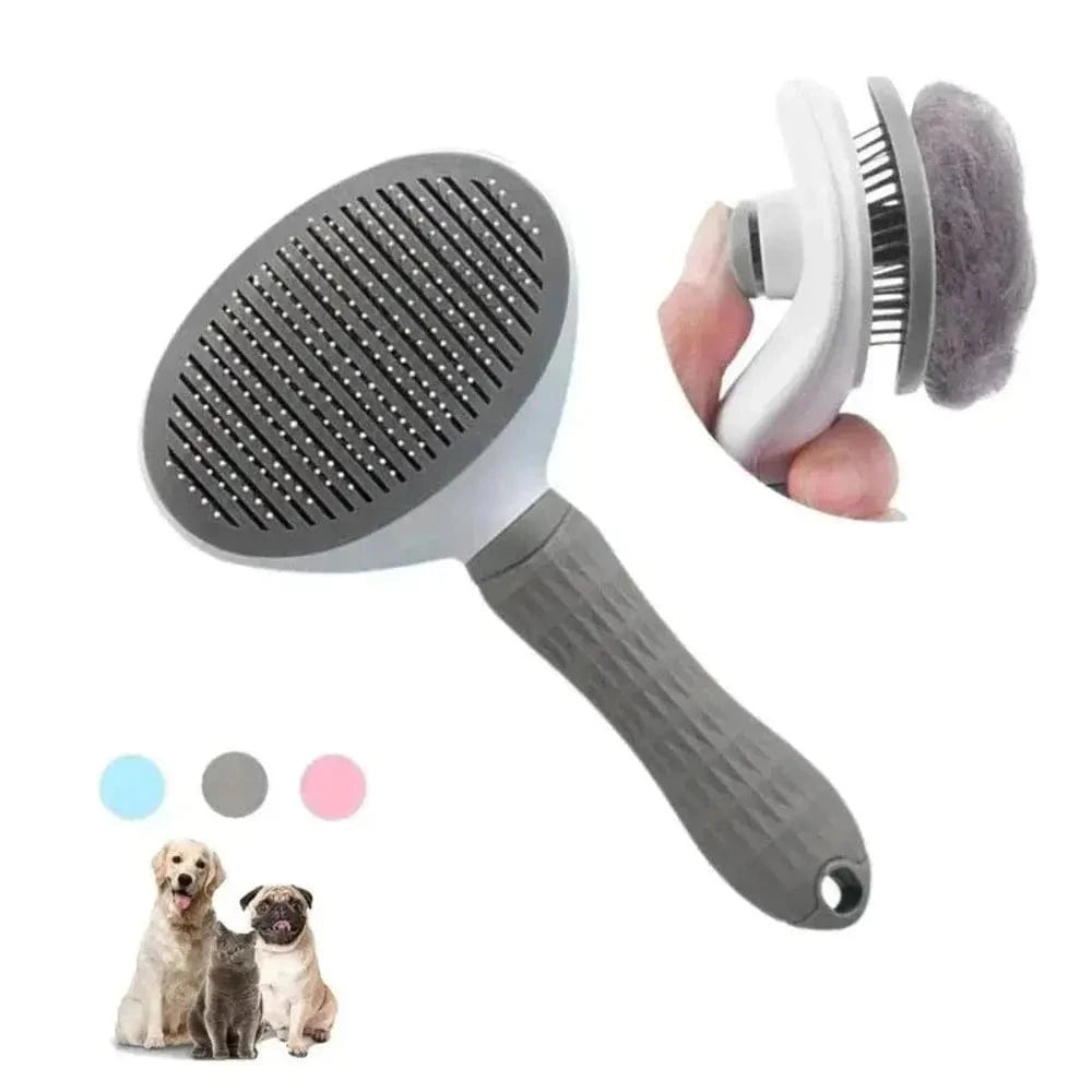Brosse toilettage chat