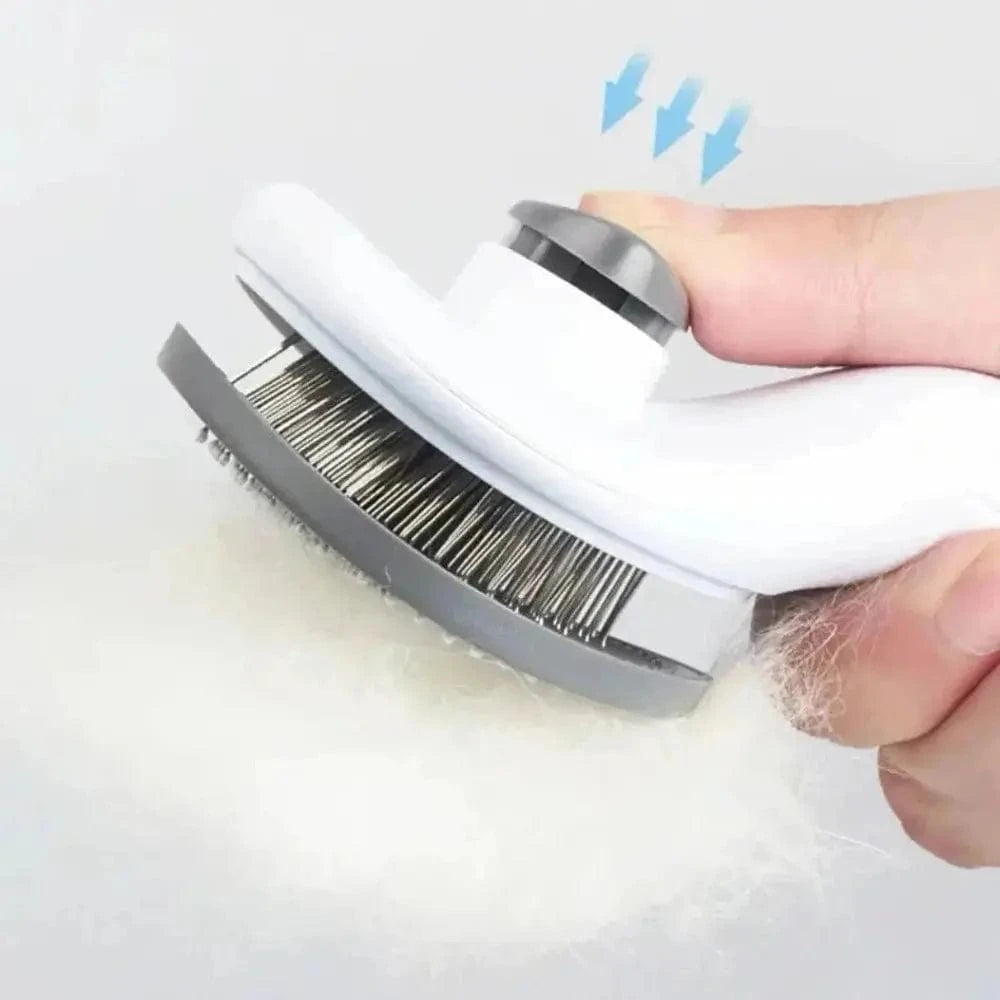 Brosse toilettage chat