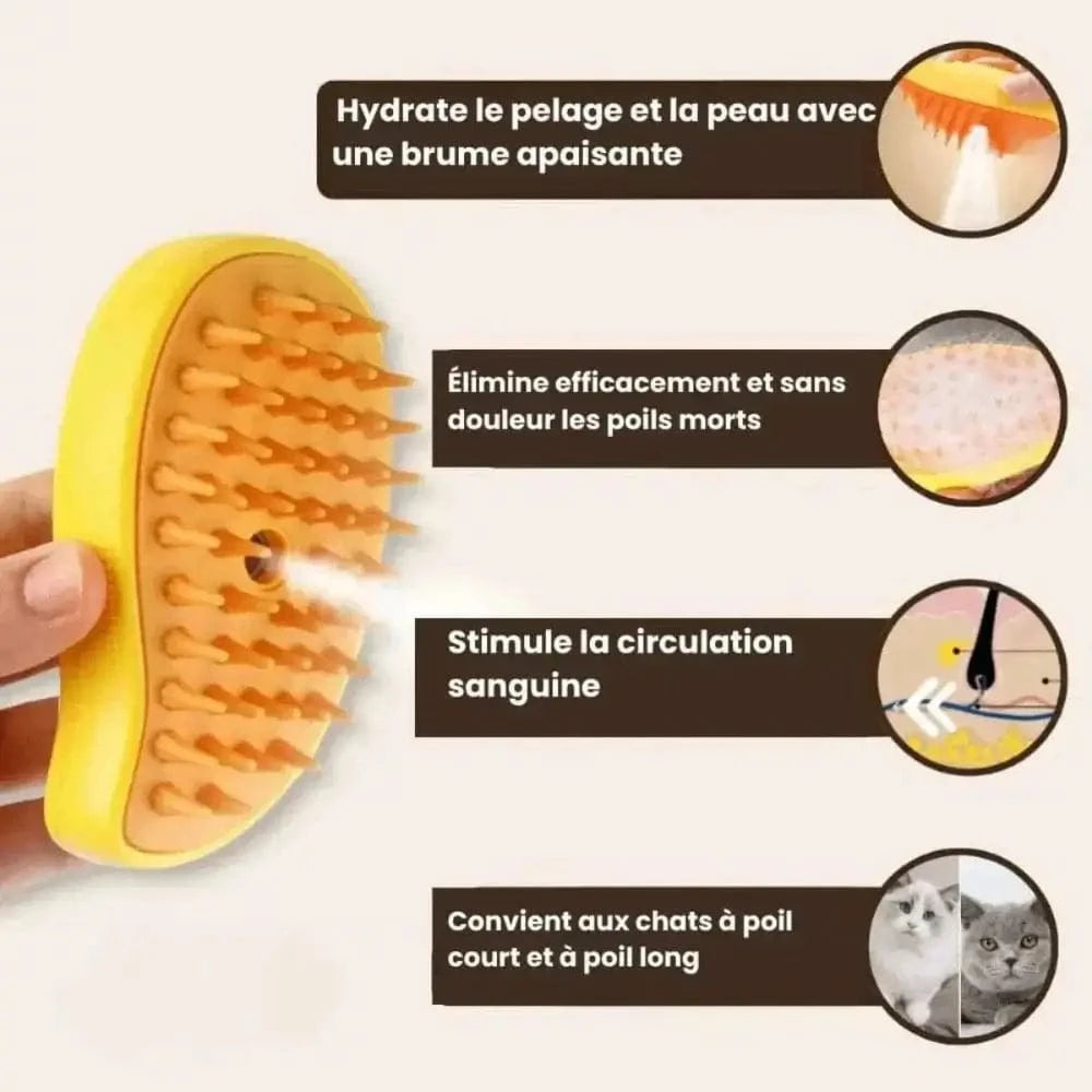 Brosse vapeur pour chat - Griffe d'Amour