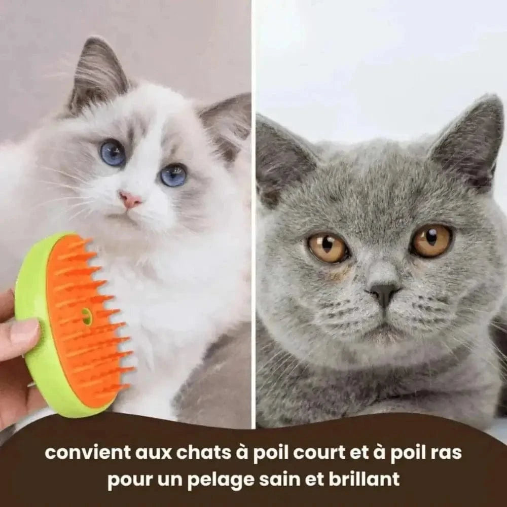 Brosse vapeur pour chat - Griffe d'Amour