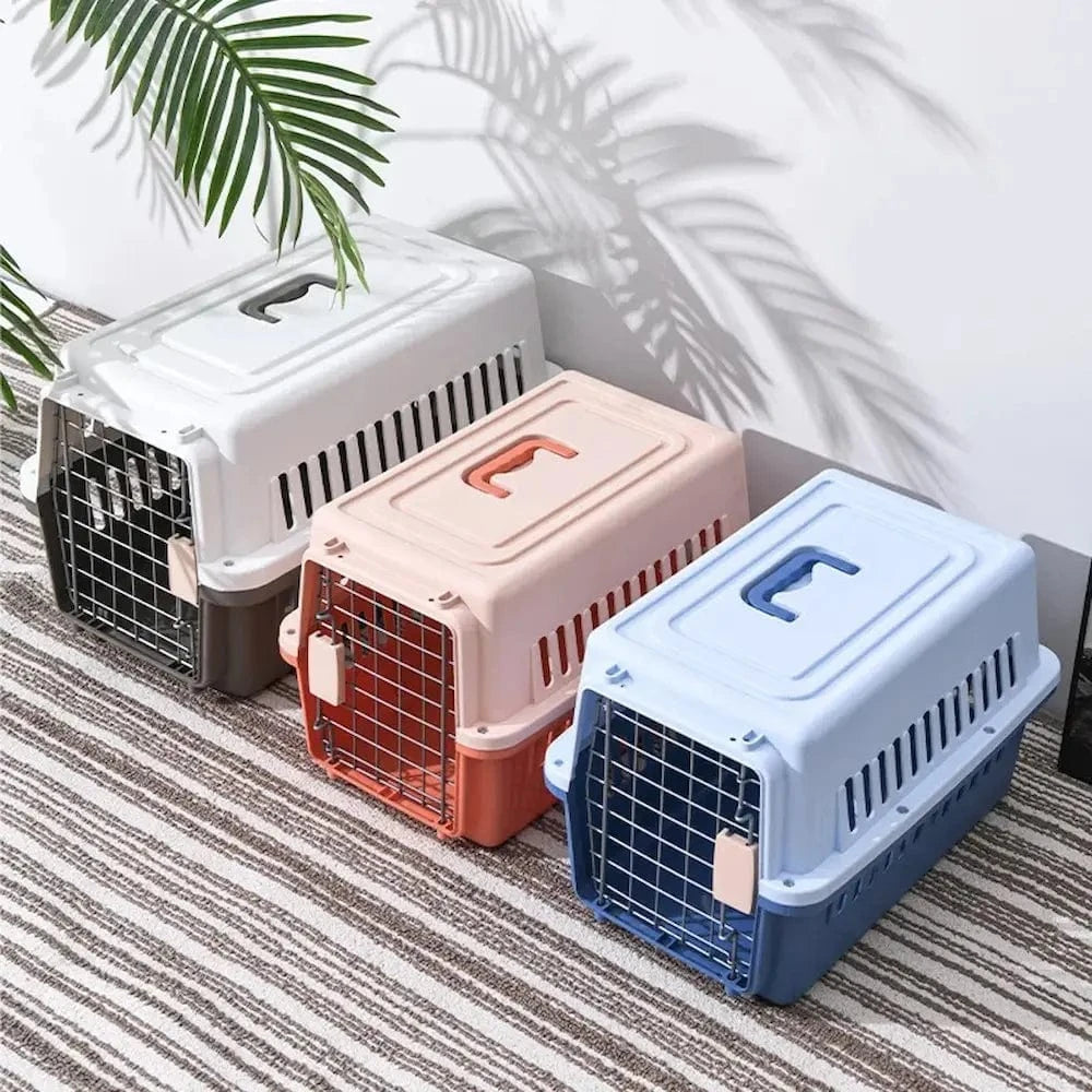 Cage de transport pour chaton - Sécurisée et confortable Griffe d'Amour
