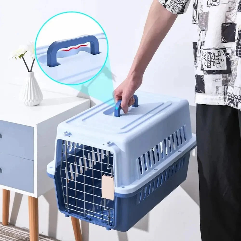 Cage de transport pour chaton - Sécurisée et confortable Griffe d'Amour