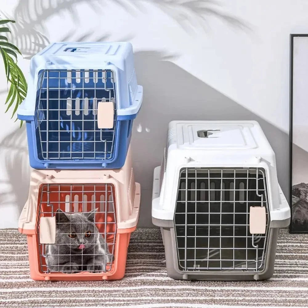 Cage de transport pour chaton - Sécurisée et confortable Griffe d'Amour