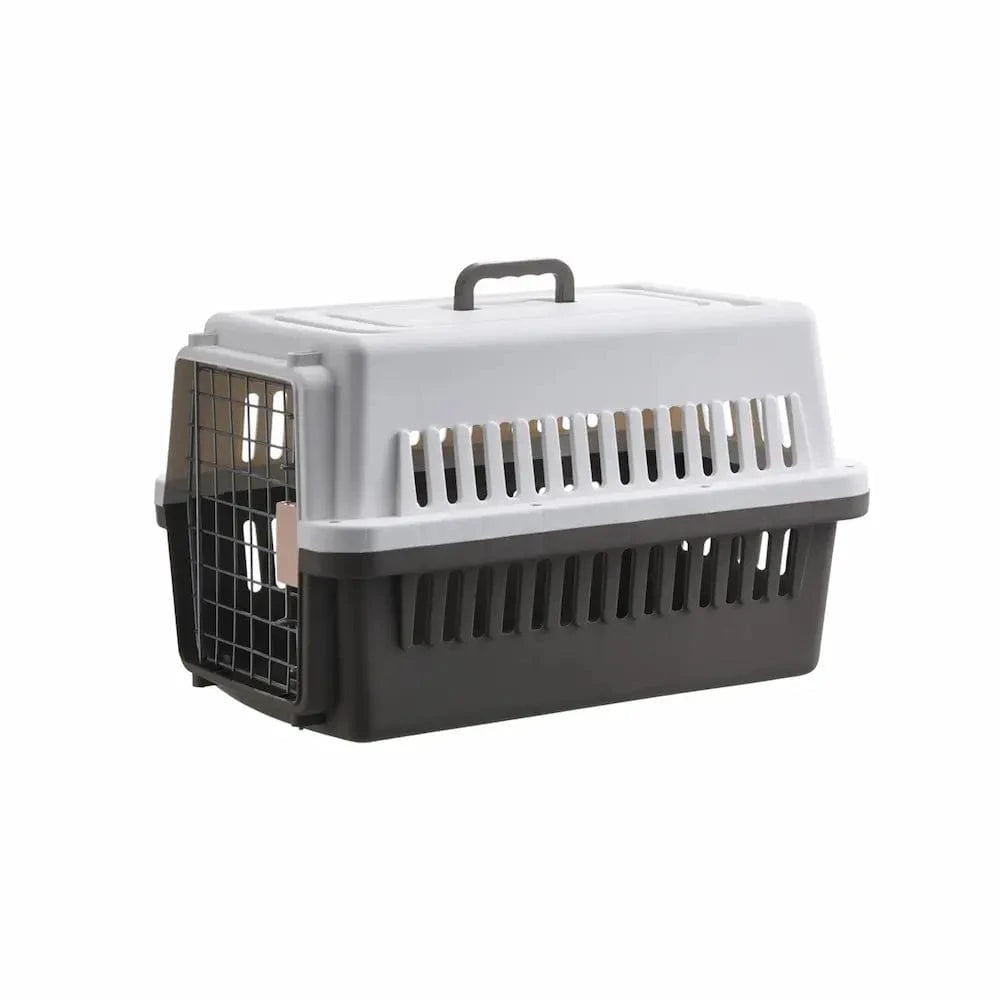 Cage de transport pour chaton - Sécurisée et confortable Griffe d'Amour