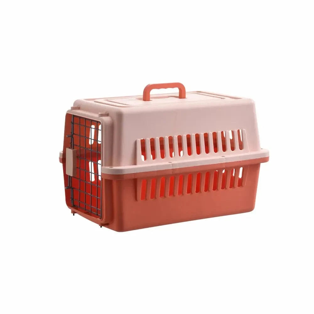 Cage de transport pour chaton - Sécurisée et confortable Griffe d'Amour