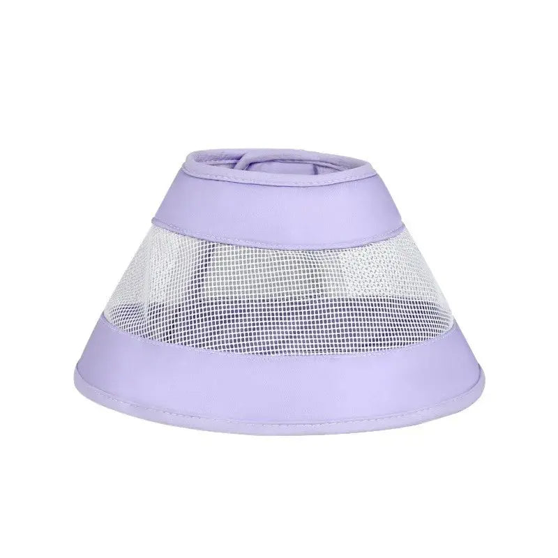 Collerette anti-rayures chat