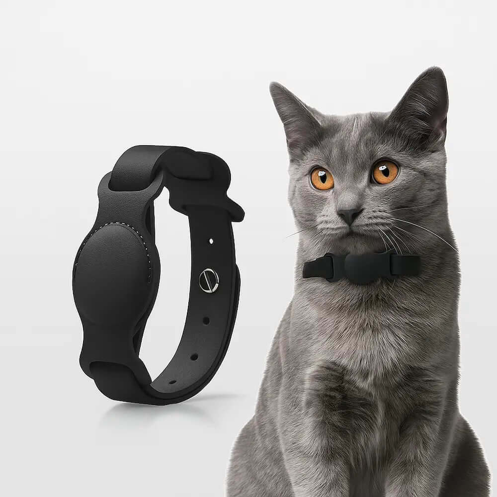 Collier GPS AirTag pour chien et chat - Suivi en temps réel fiable Griffe d'Amour