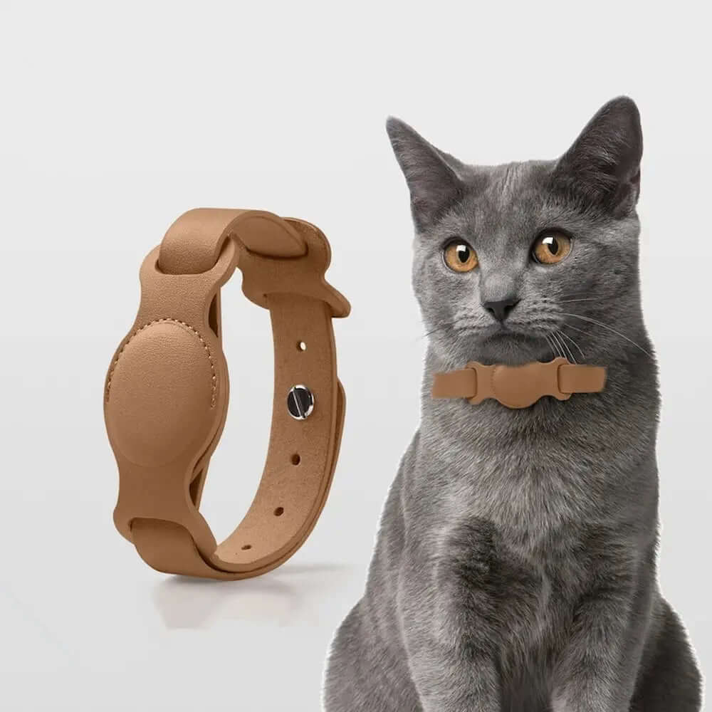 Collier GPS AirTag pour chien et chat - Suivi en temps réel fiable Griffe d'Amour