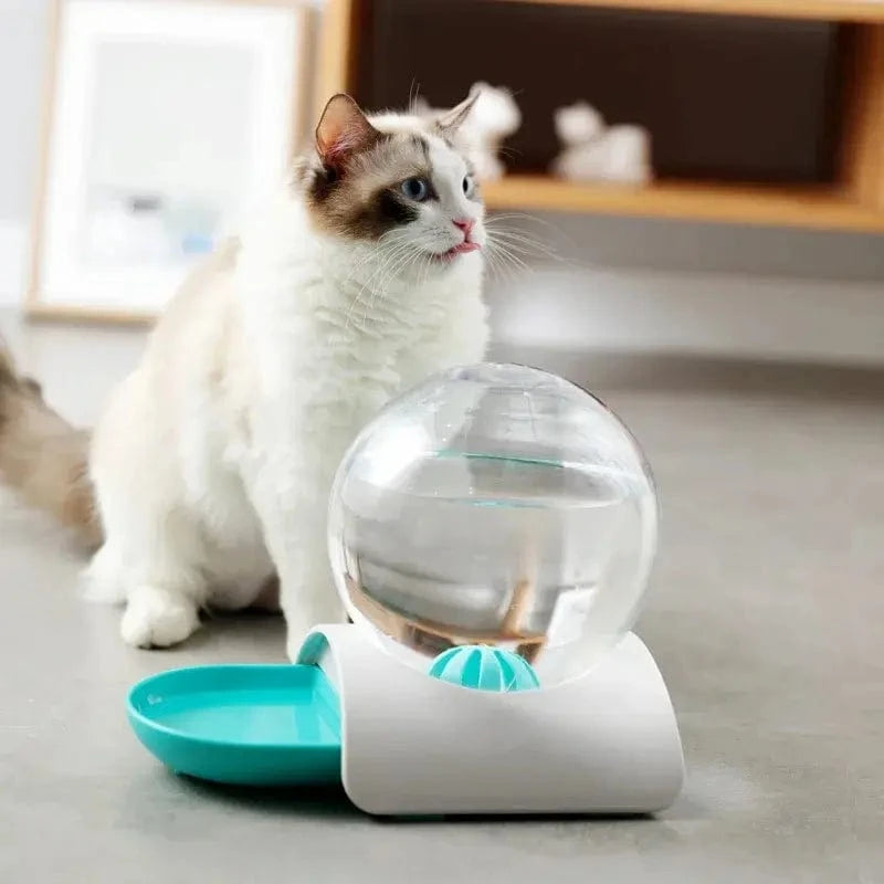 Distributeur eau chat 2,8L - Zéro filtre, zéro contrainte Griffe d'Amour