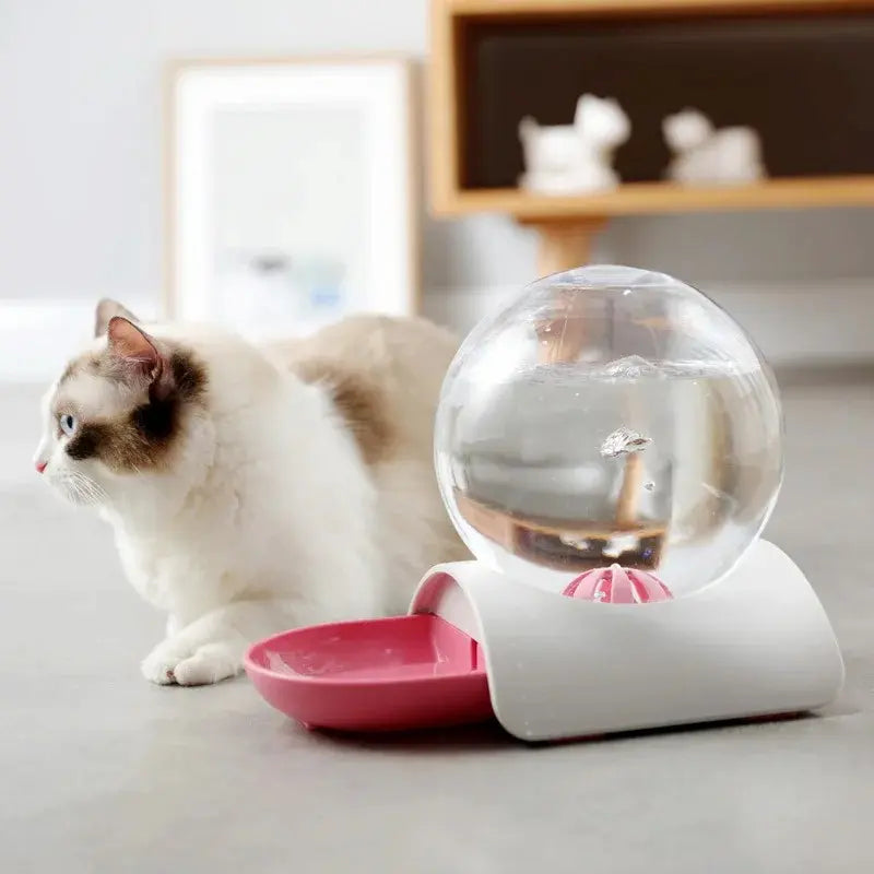 Distributeur eau chat 2,8L - Zéro filtre, zéro contrainte Griffe d'Amour