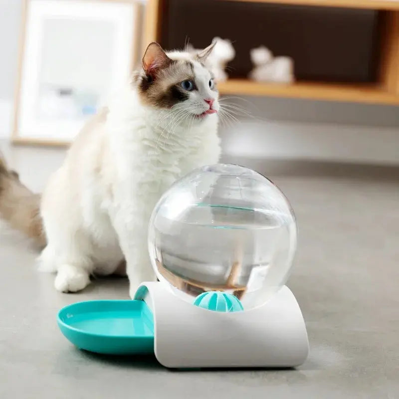 Distributeur eau chat 2,8L - Zéro filtre, zéro contrainte Griffe d'Amour