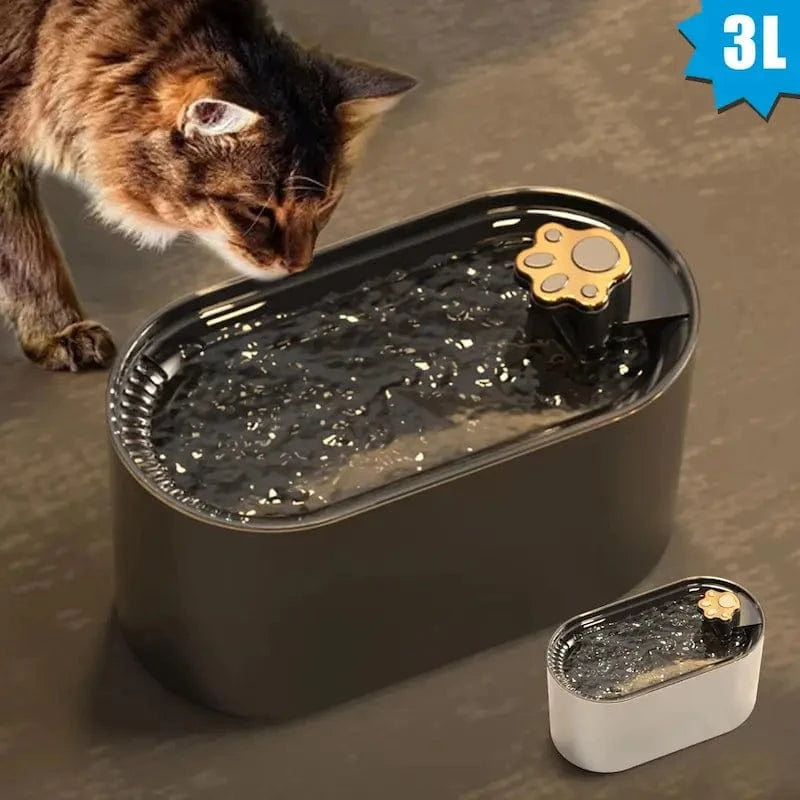 Fontaine à eau chat lumineuse - Hydratation saine et fun Griffe d'Amour