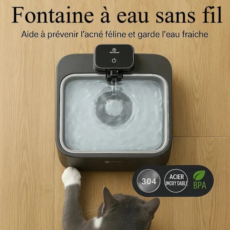 Fontaine à eau DownyPaws Griffe d'Amour