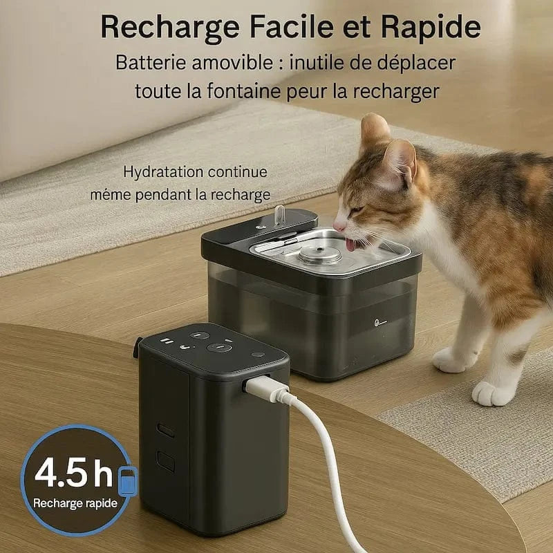 Fontaine à eau DownyPaws Griffe d'Amour