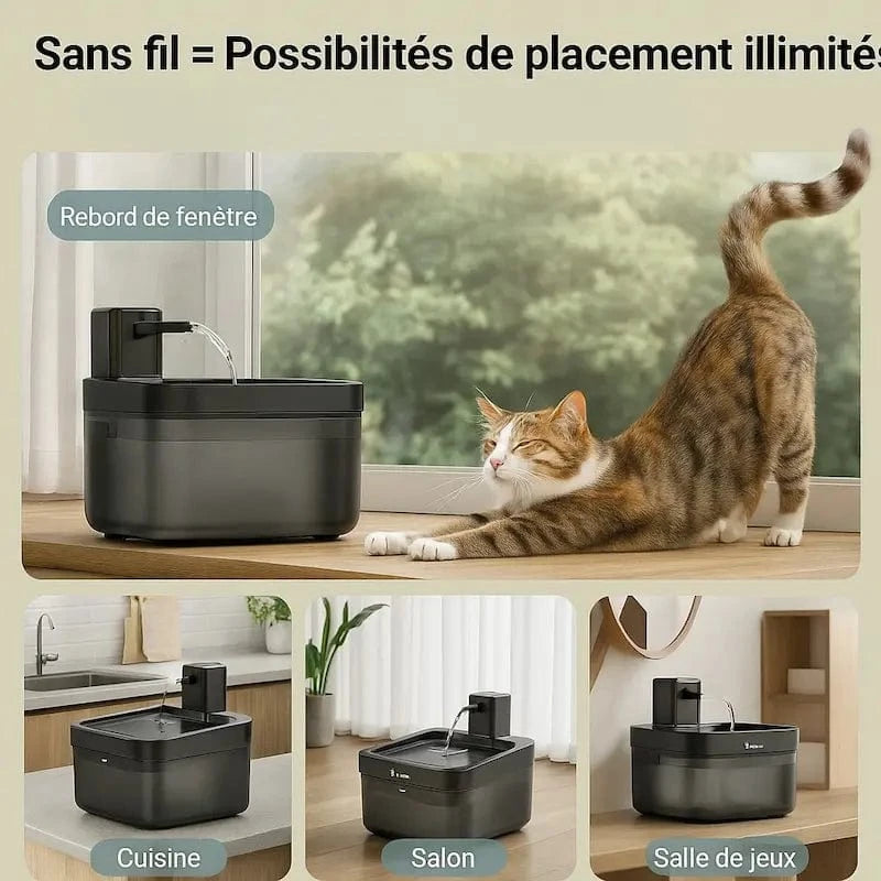 Fontaine à eau DownyPaws Griffe d'Amour