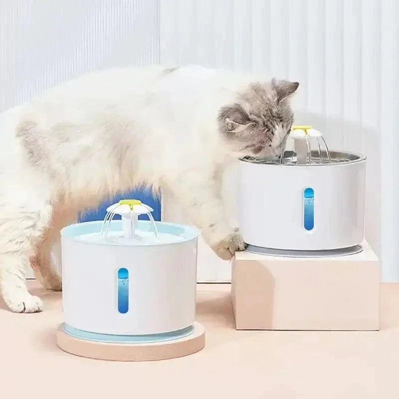 Fontaine à eau pour chat acier inoxydable - Eau fraîche Griffe d'Amour