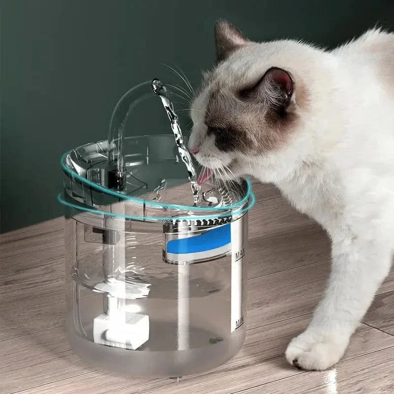 Fontaine chat 2L design avec capteur - Hydratation intelligente Griffe d'Amour