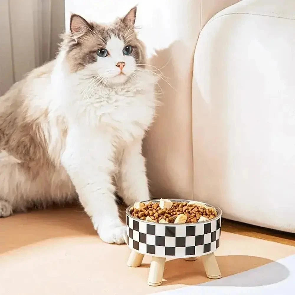 Gamelle chat en hauteur - Meilleure digestion assurée Griffe d'Amour
