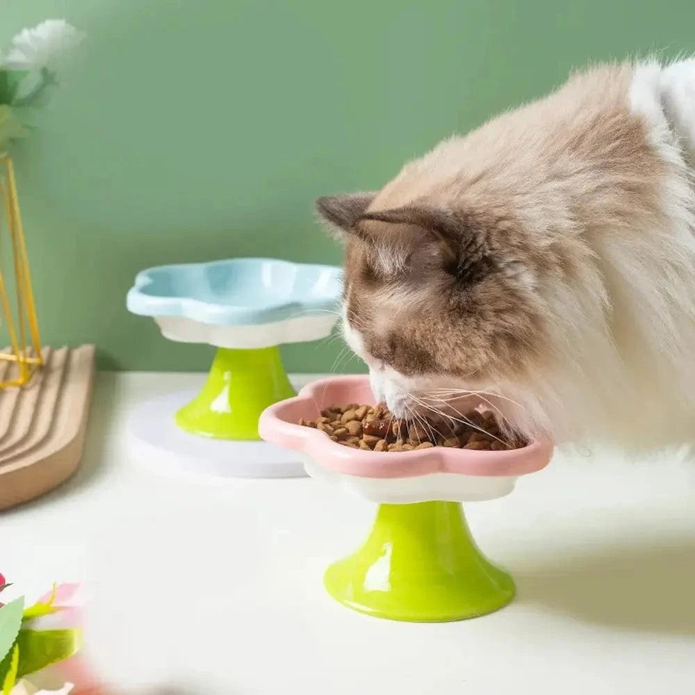 Gamelle chaton - Antidérapante en céramique Griffe d'Amour