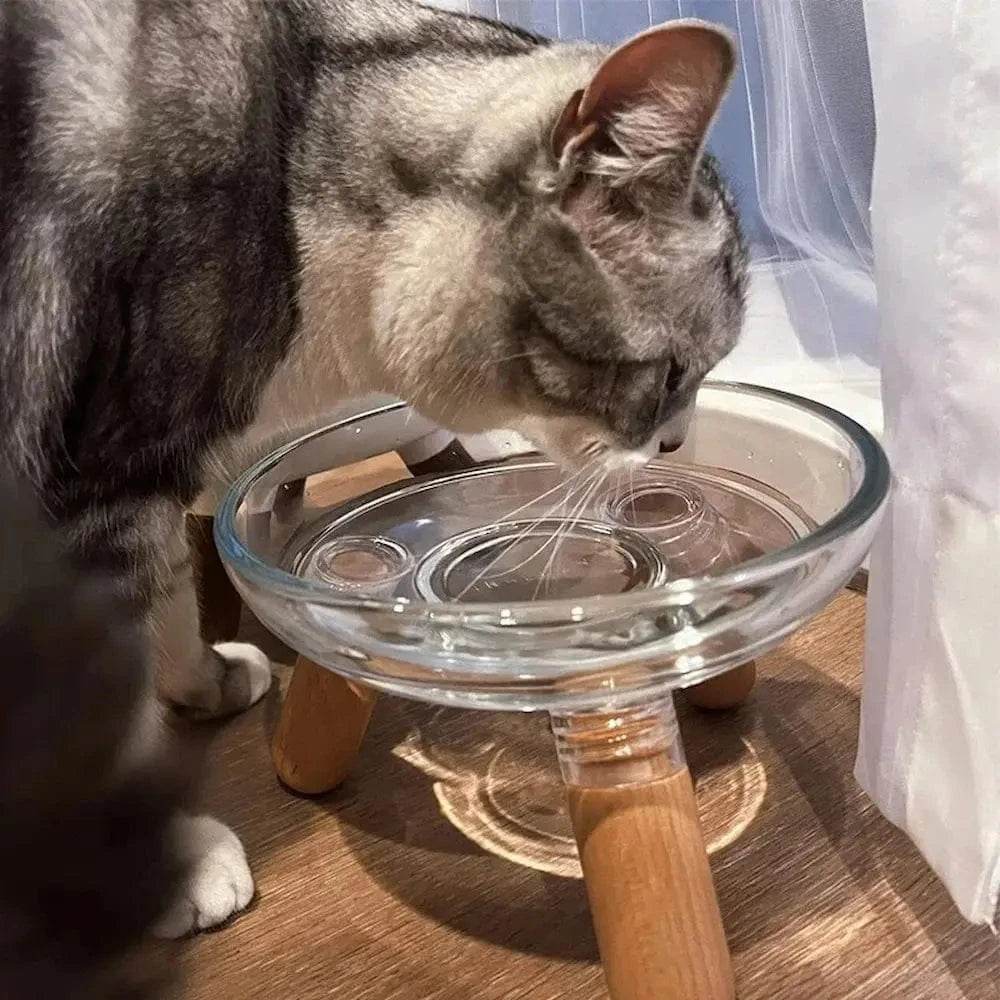 Gamelle en verre pour chat - Stable et facile à nettoyer Griffe d'Amour