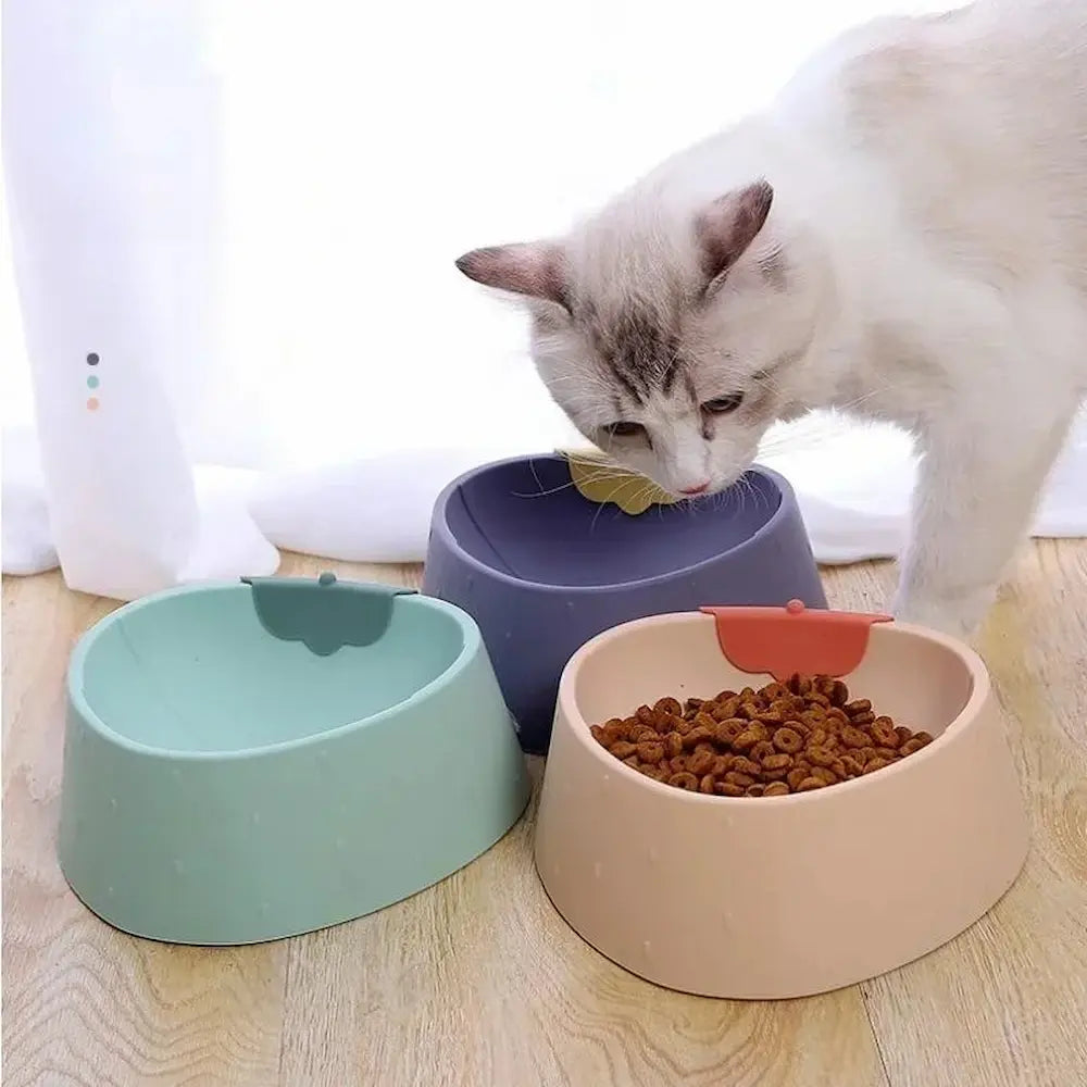 Gamelle ergonomique chat - Digestion améliorée Griffe d'Amour