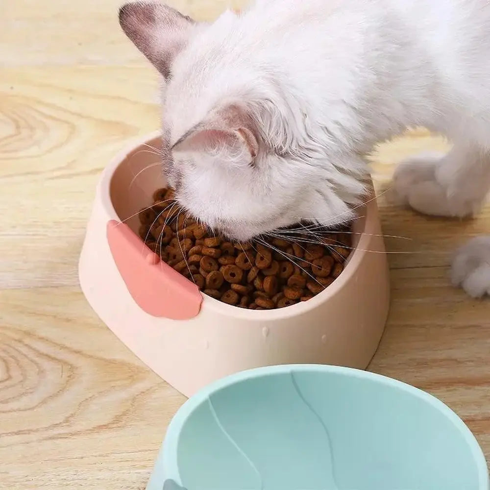 Gamelle ergonomique chat - Digestion améliorée Griffe d'Amour