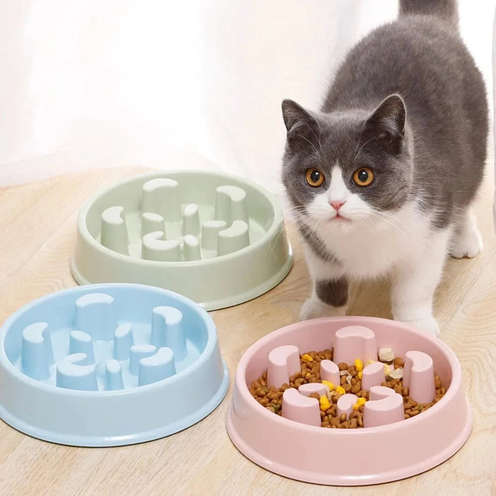 Gamelle labyrinthe pour chat - Anti-glouton efficace