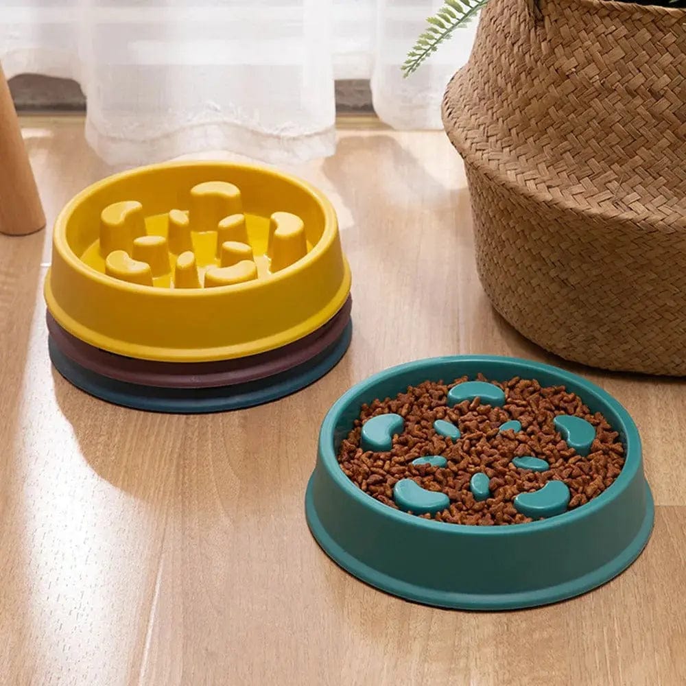 Gamelle labyrinthe pour chat - Anti-glouton efficace