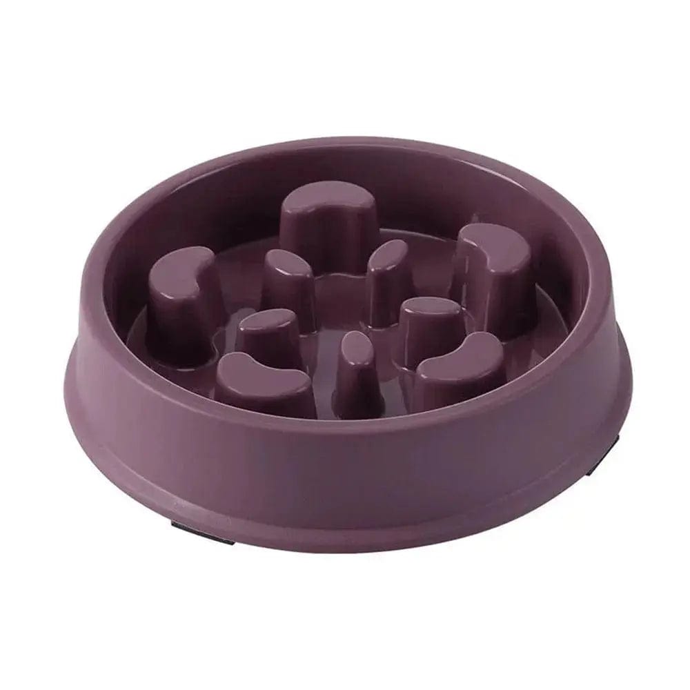 Gamelle labyrinthe pour chat - Anti-glouton efficace