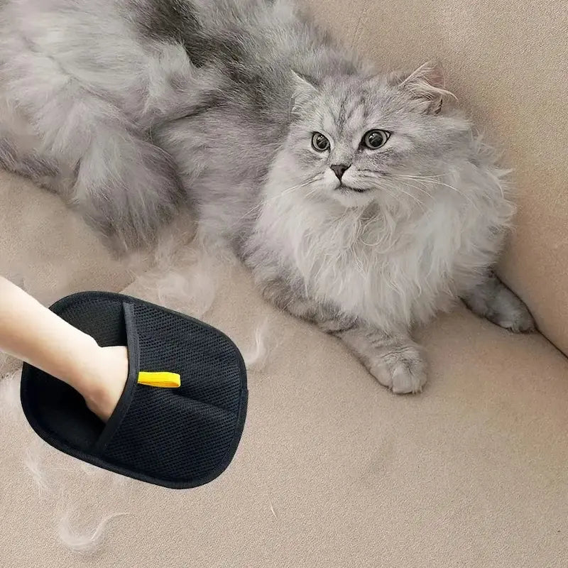Gant épilateur pour chat