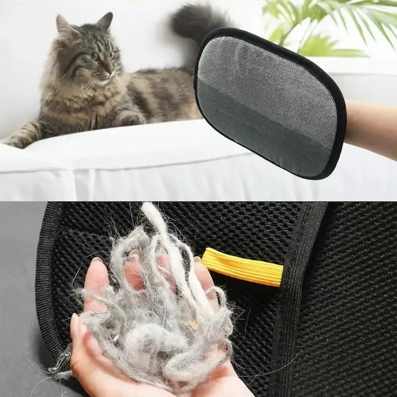 Gant épilateur pour chat