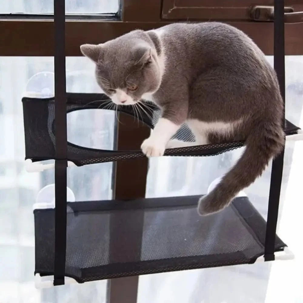Hamac double pour chat - Repos en hauteur, 2 niveaux spacieux Griffe d'Amour