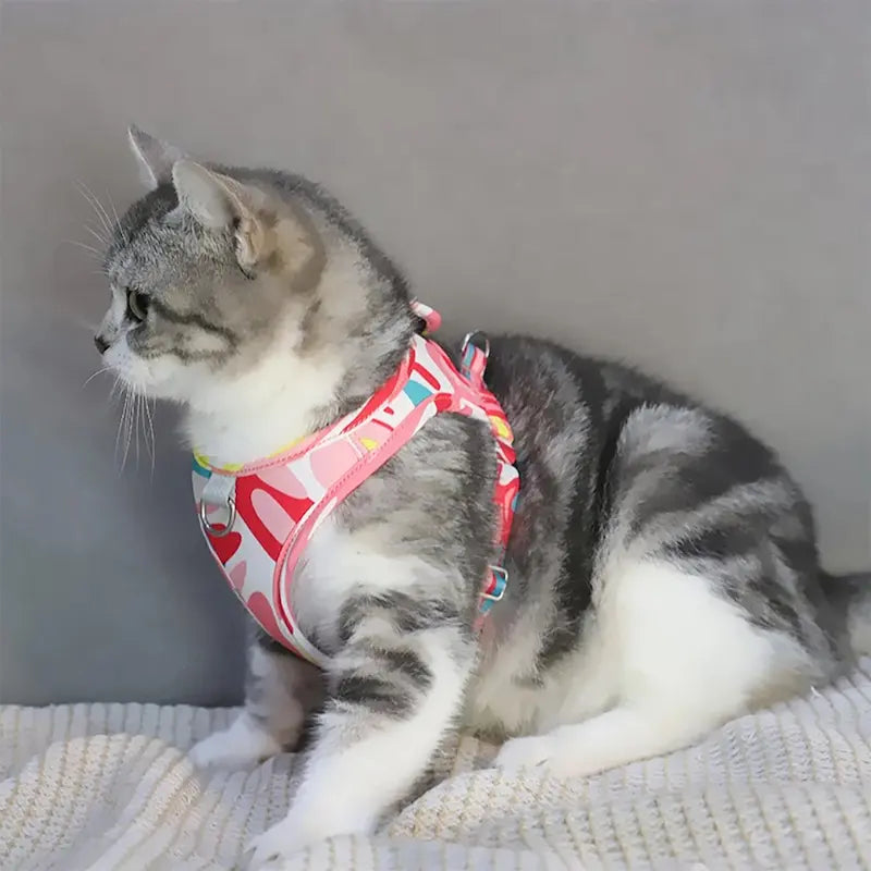 Harnais chat anti-fuite