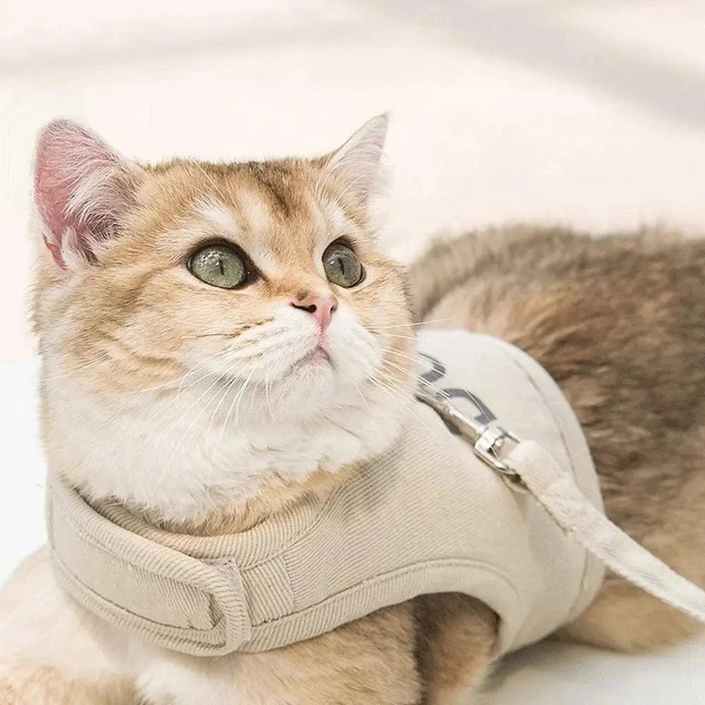 Harnais chat Duri - Confort et sécurité pour chaque balade Griffe d'Amour