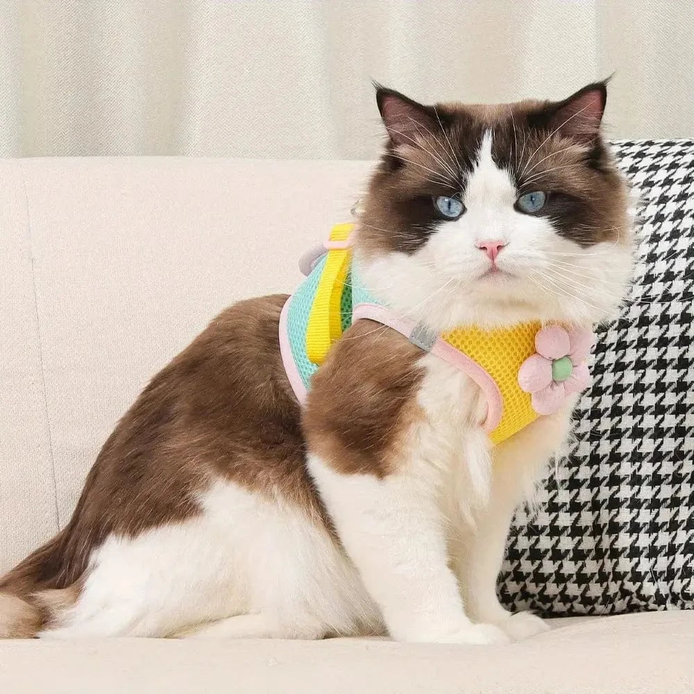 Harnais chat fleuri respirant - Sécurité et élégance Griffe d'Amour