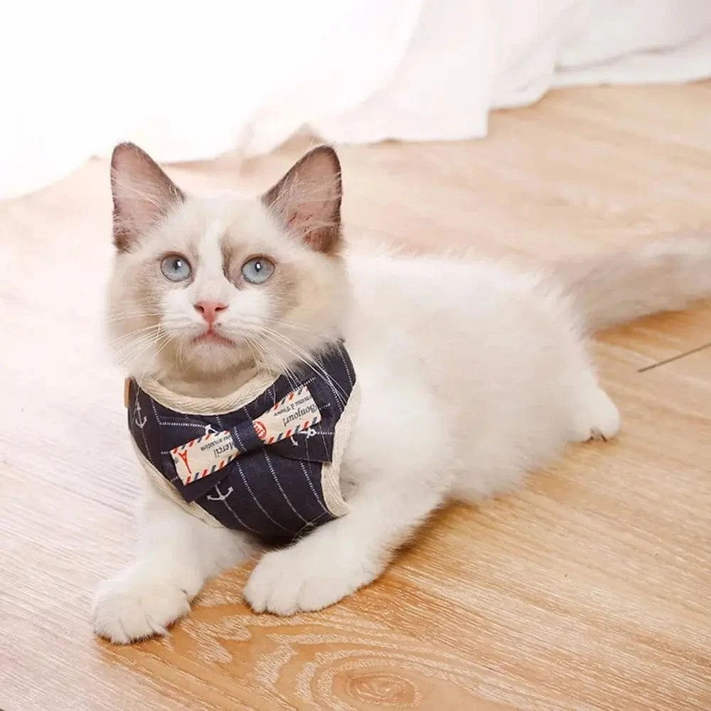 Harnais chat nœud papillon - Confort et sécurité garantis Griffe d'Amour