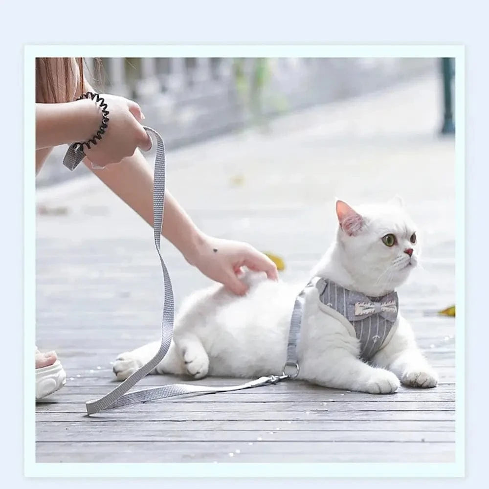 Harnais chat nœud papillon - Confort et sécurité garantis Griffe d'Amour