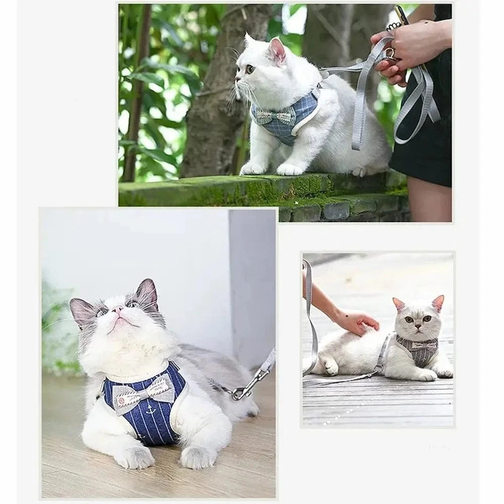 Harnais chat nœud papillon - Confort et sécurité garantis Griffe d'Amour