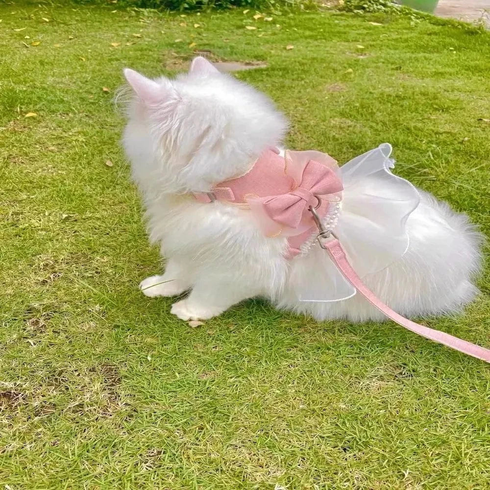 Harnais chat robe de princesse - Confort et sécurité élégante Griffe d'Amour