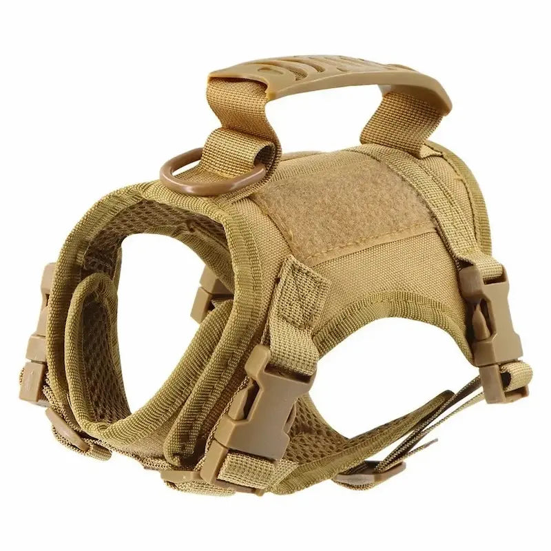 Harnais tactique chat