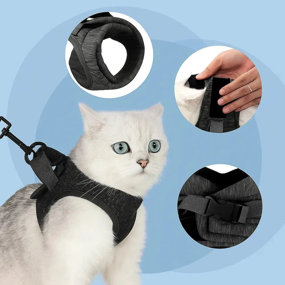 Harnais traction chat anti-fuite - Confort total en balade Griffe d'Amour