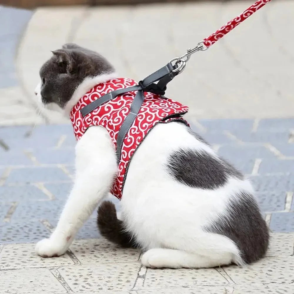 Harnais veste chat anti-fugue - Balades sûres et confortables Griffe d'Amour