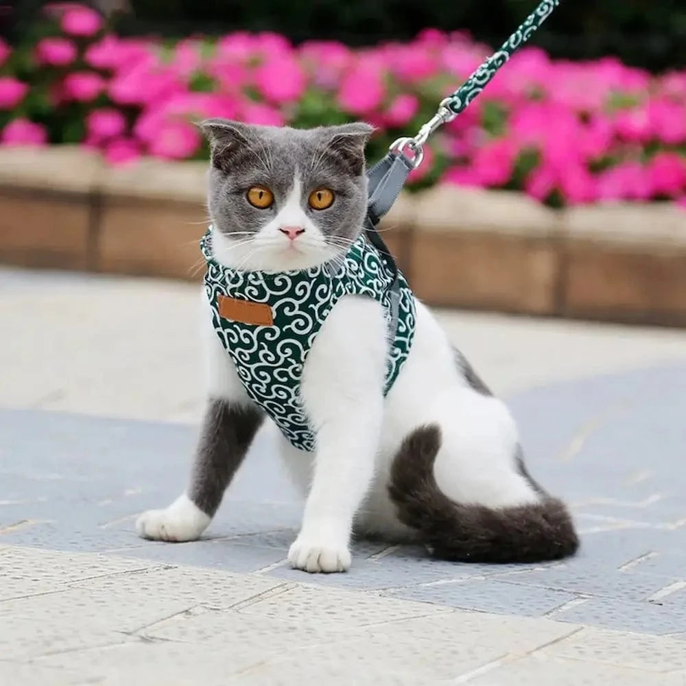 Harnais veste chat anti-fugue - Balades sûres et confortables Griffe d'Amour