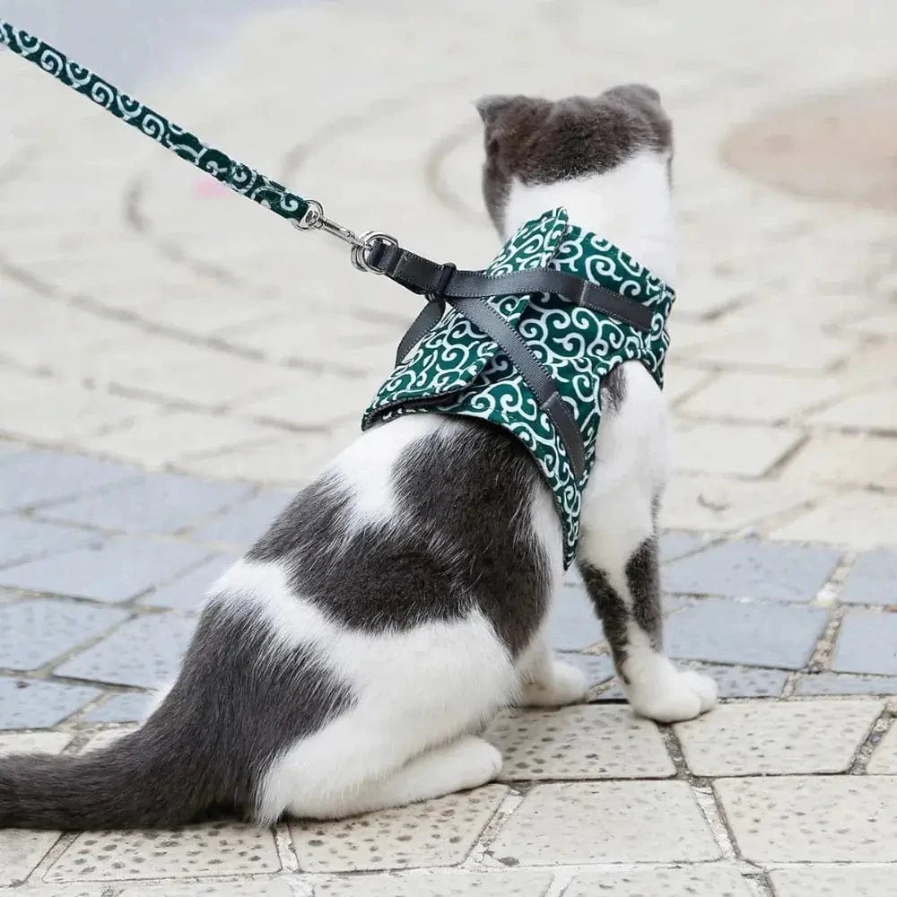 Harnais veste chat anti-fugue - Balades sûres et confortables Griffe d'Amour