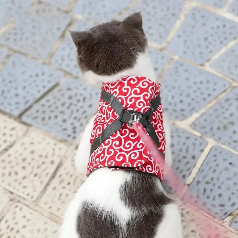 Harnais veste chat