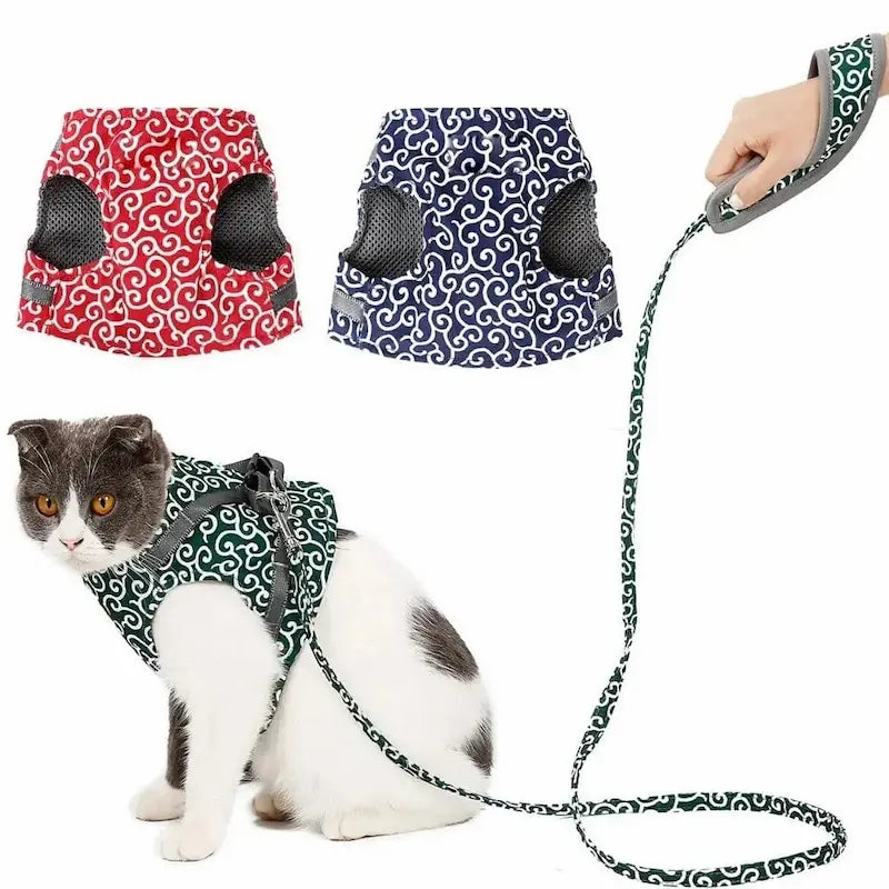 Harnais veste chat