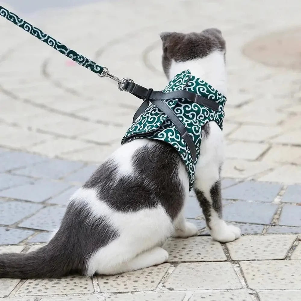 Harnais veste chat anti-fugue - Balades sûres et confortables Griffe d'Amour